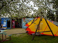 Szkoła Windsurfingu POL33