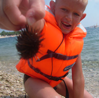 Mateusz