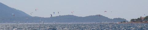 Viganji